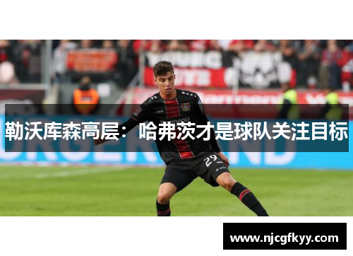 勒沃库森高层：哈弗茨才是球队关注目标